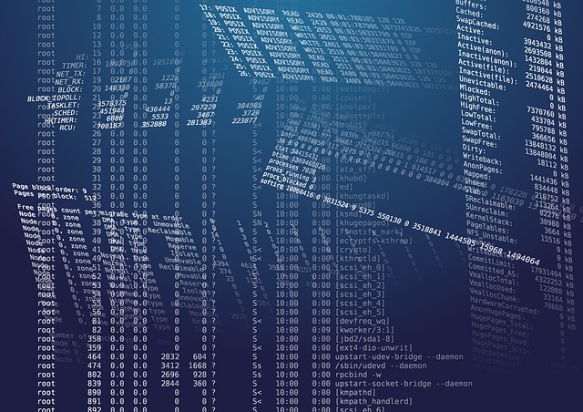 盗版有风险：谨防 BitRAT 恶意软件伪装成 Windows 10 激活工具传播