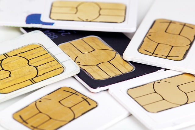 针对 Kroll 员工的 SIM 卡调换攻击暴露了隐私数据