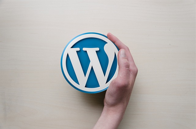 ​​WordPress 插件曝 9.8 分高危漏洞，超 1 万网站面临风险​