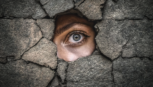 乌克兰宣称：成功入侵克里米亚服务器，获取俄方劫持儿童证据